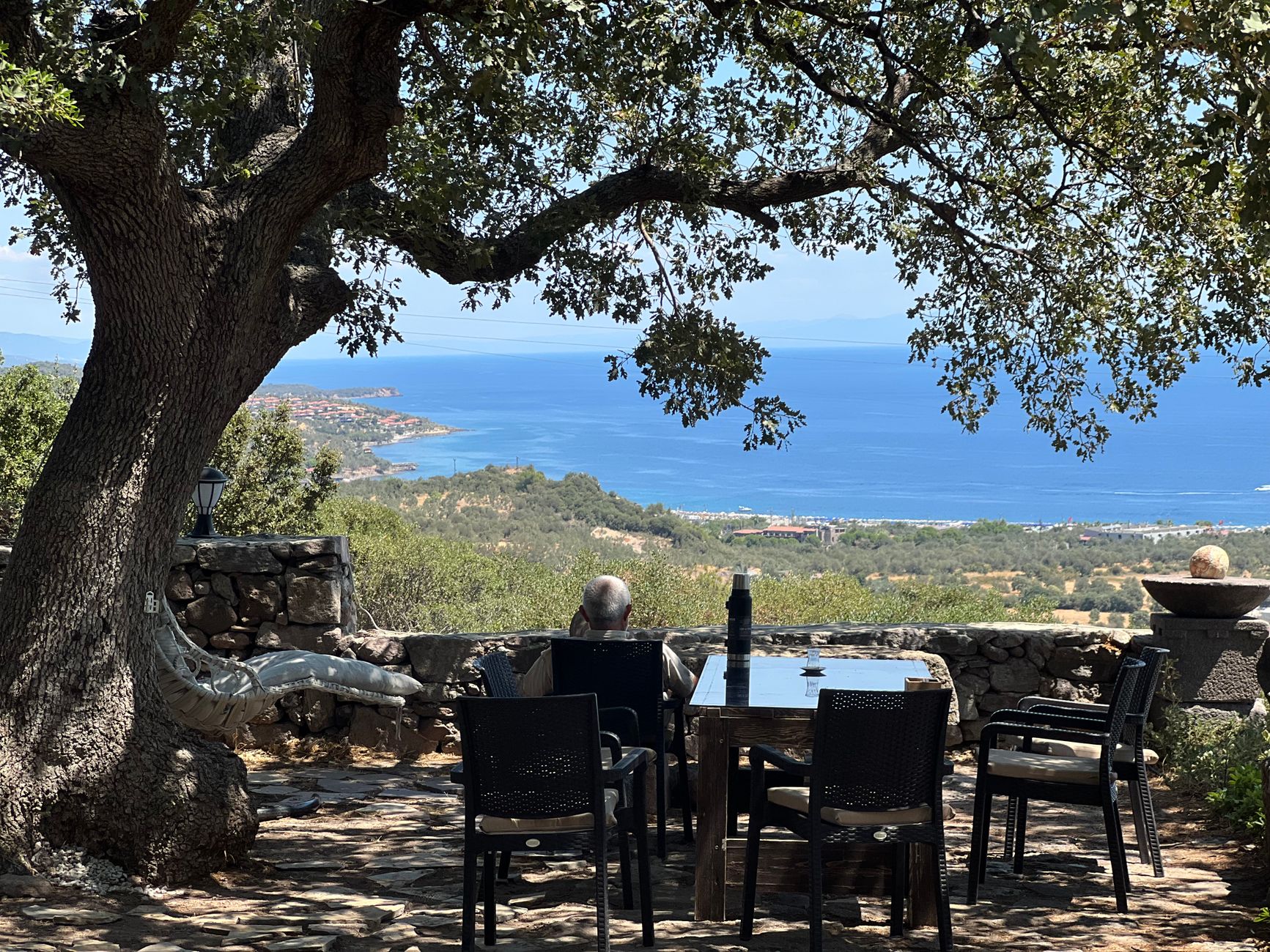 Sun-drenched olive groves overlooking the Tyrrhenian Sea