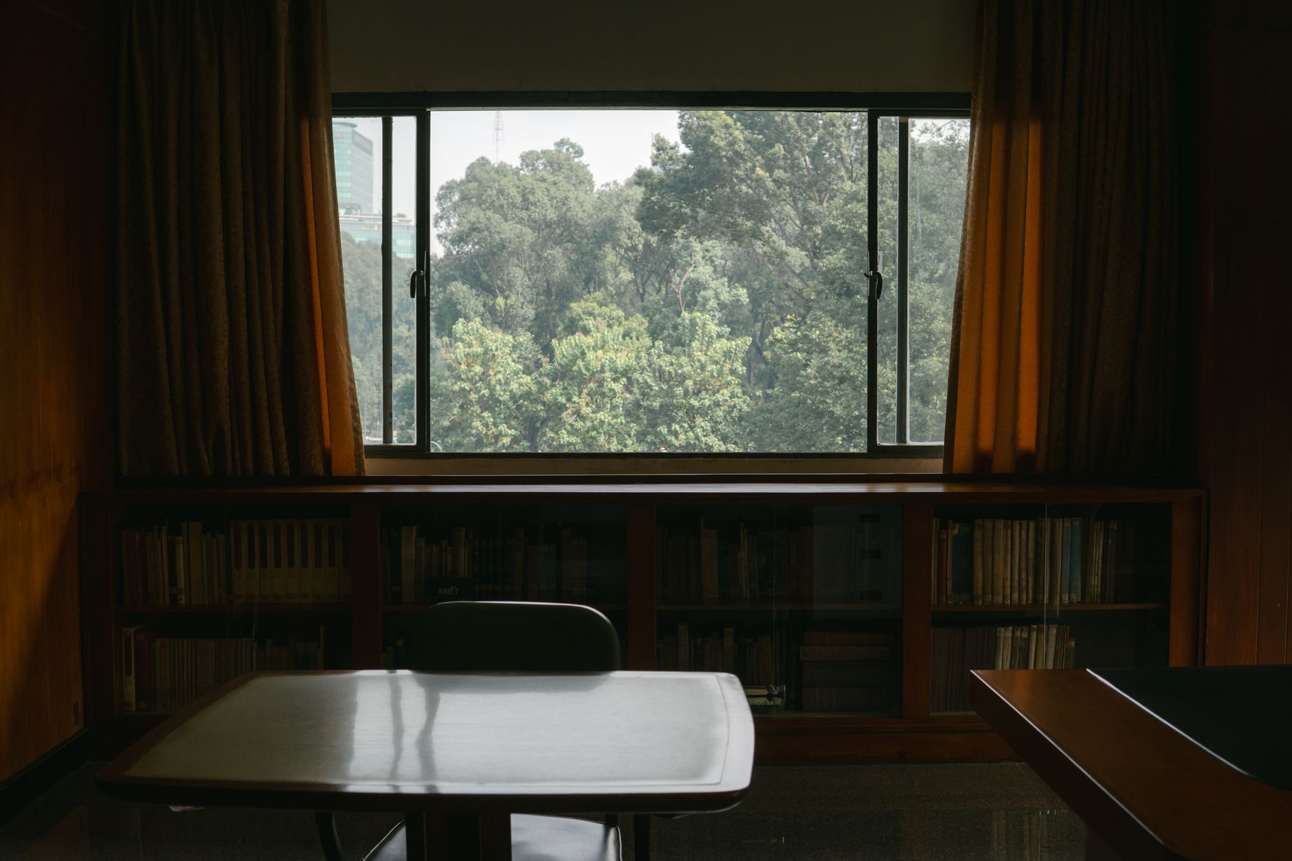Tranquil library overlooking misty forest